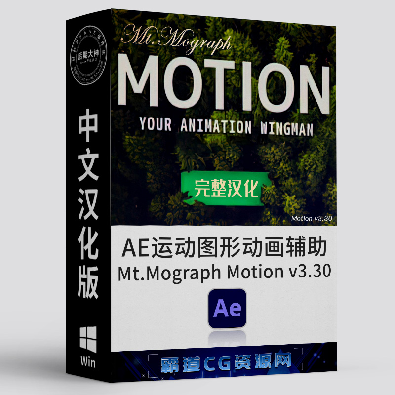 AE运动图形MG动画扩展Win汉化版