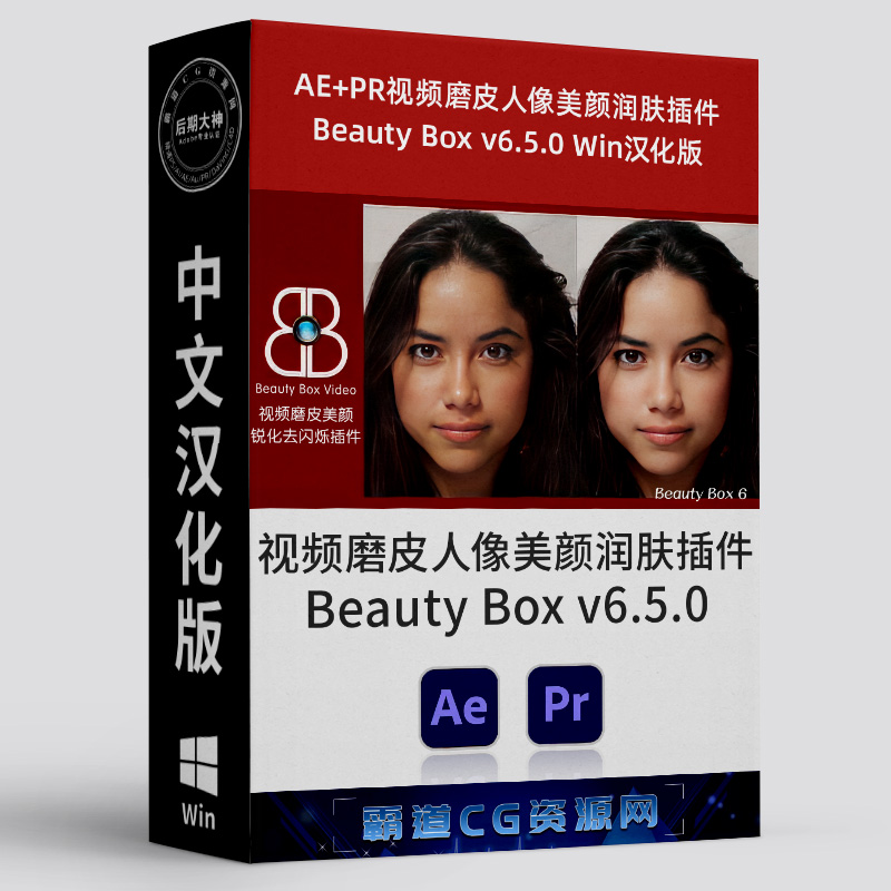 AE+PR视频磨皮美颜插件Win汉化版