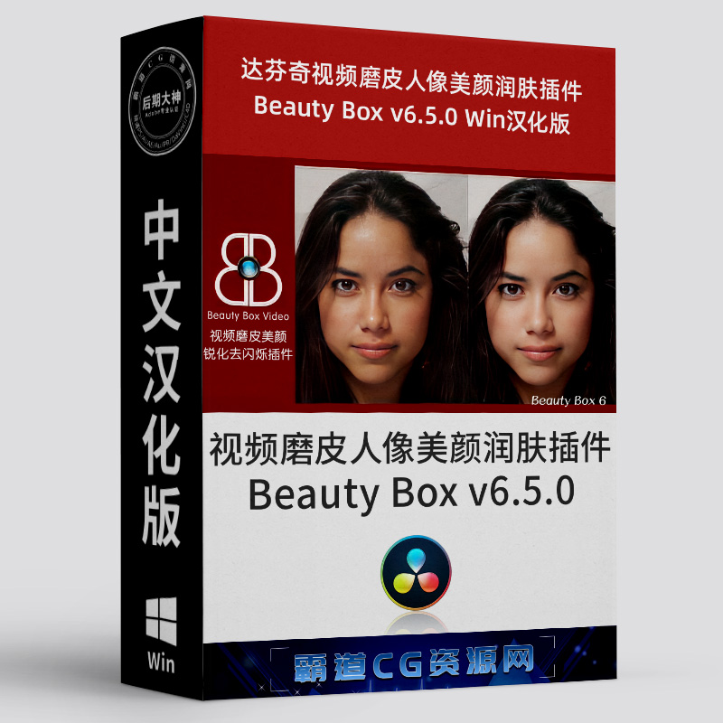达芬奇视频磨皮美颜插件Win汉化版